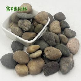 鹅卵石产批 铺路卵石子 园艺布景石 鱼缸鹅暖石铺 