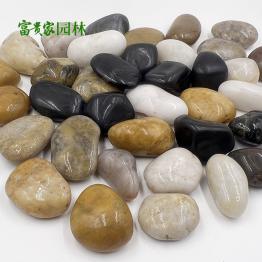 景观铺路 庭院造景五彩雨花石 3-5公分抛光黑色石头 园林绿化鹅卵石