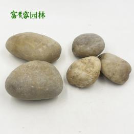 大批量黄色鹅卵石头铺路石子 园艺布景石鱼缸鹅暖石