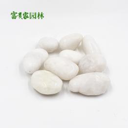 富贵家鹅卵石 庭院造景用白卵石 精抛白色雨花石 五彩卵石厂家批发