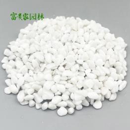 水磨建筑用白石 富贵家白色打磨砾石6-9mm白碎石  