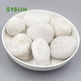 白色鹅卵石 富贵家机制白石盆栽用水磨石白石子纯白河卵石批发