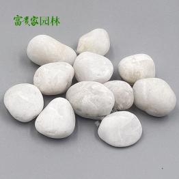 供应白色鹅卵石3-5公分 结构致密 适用于园林景观雨花石富贵家石业