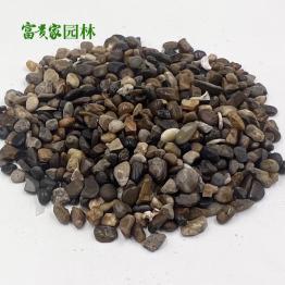 天然鹅卵石 沼泽过滤卵石 地暖找平回填专用豆石水洗滤料 富贵家